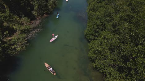 Aerial-drown-birds-eye-view-static-shot-of-paddle-boarders-slowly-paddling-up-river-surrounded-by-tropical-jungle