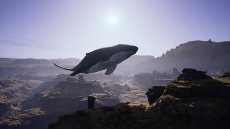 whale soaring above the grand canyon at sunrise showcases a unique view