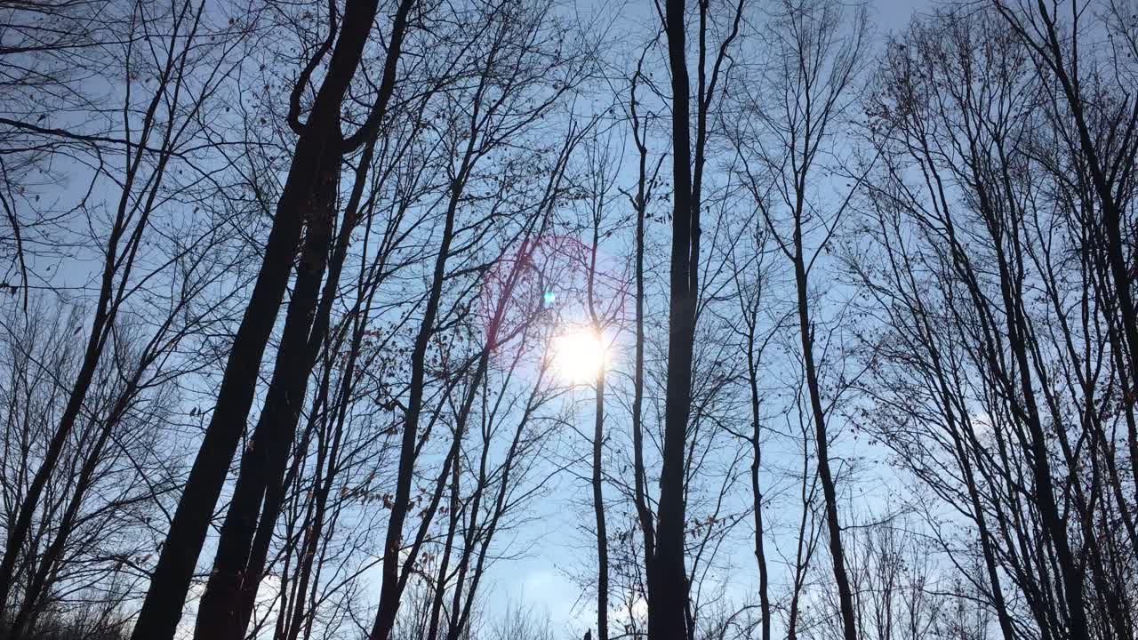 이른 봄에 해가 하늘에 떠 있고 햇빛이 나뭇가지를 통해 들어오는 숲길을 걷고 있다