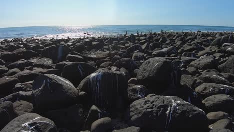 low angle pan across the black volcanic rock on the beach at rocky point, mexico where pelicans roost guano