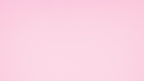 Romantic decoration with roses and white frame with empty space for text on pink theme. Stop motion
