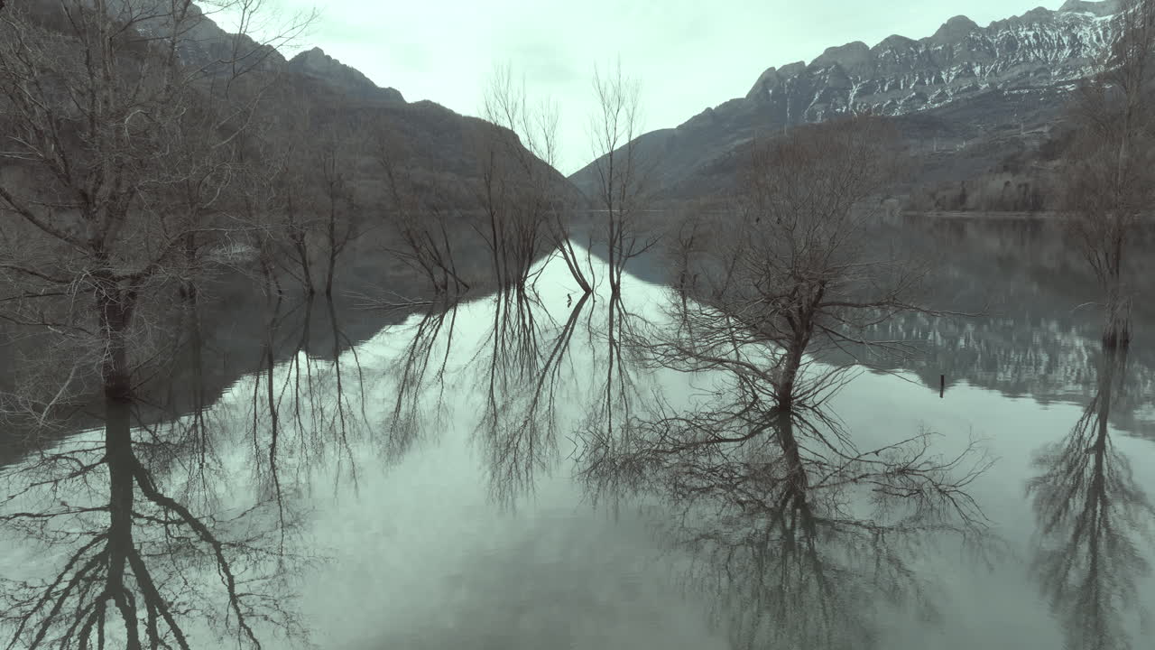 зимний пейзаж с отражениями