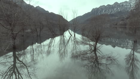 paisaje de invierno con reflejos