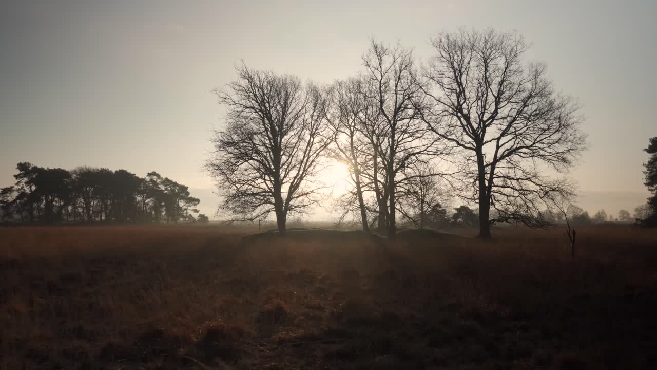 Sunrise over a wintery field with bare trees