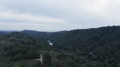 Long-trees-and-cloudy-days-along-the-river