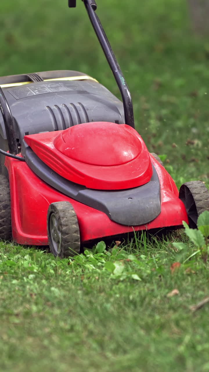 Lawn mower cutting green grass. Closeup of man mowing the grass with lawn mower