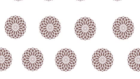 composition of rows of pink flowers moving on white background