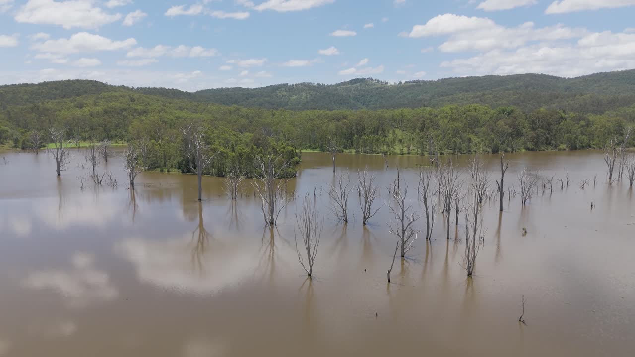 홍수 지역 의 나무 들 의 공중 사진