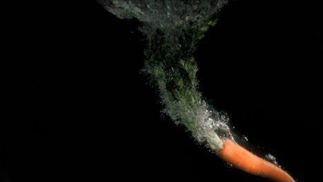 carrot in super slow motion dropping