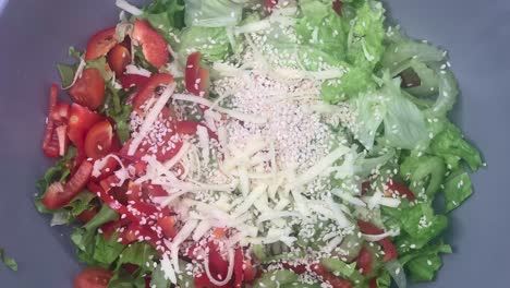 concepto de comida a base de plantas