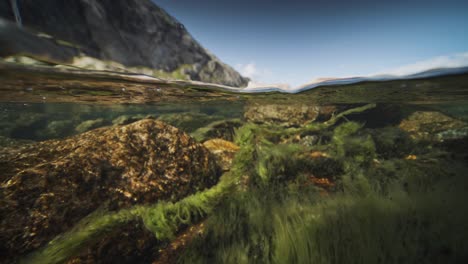 an over-under shot of the shallow river with rocky bottom