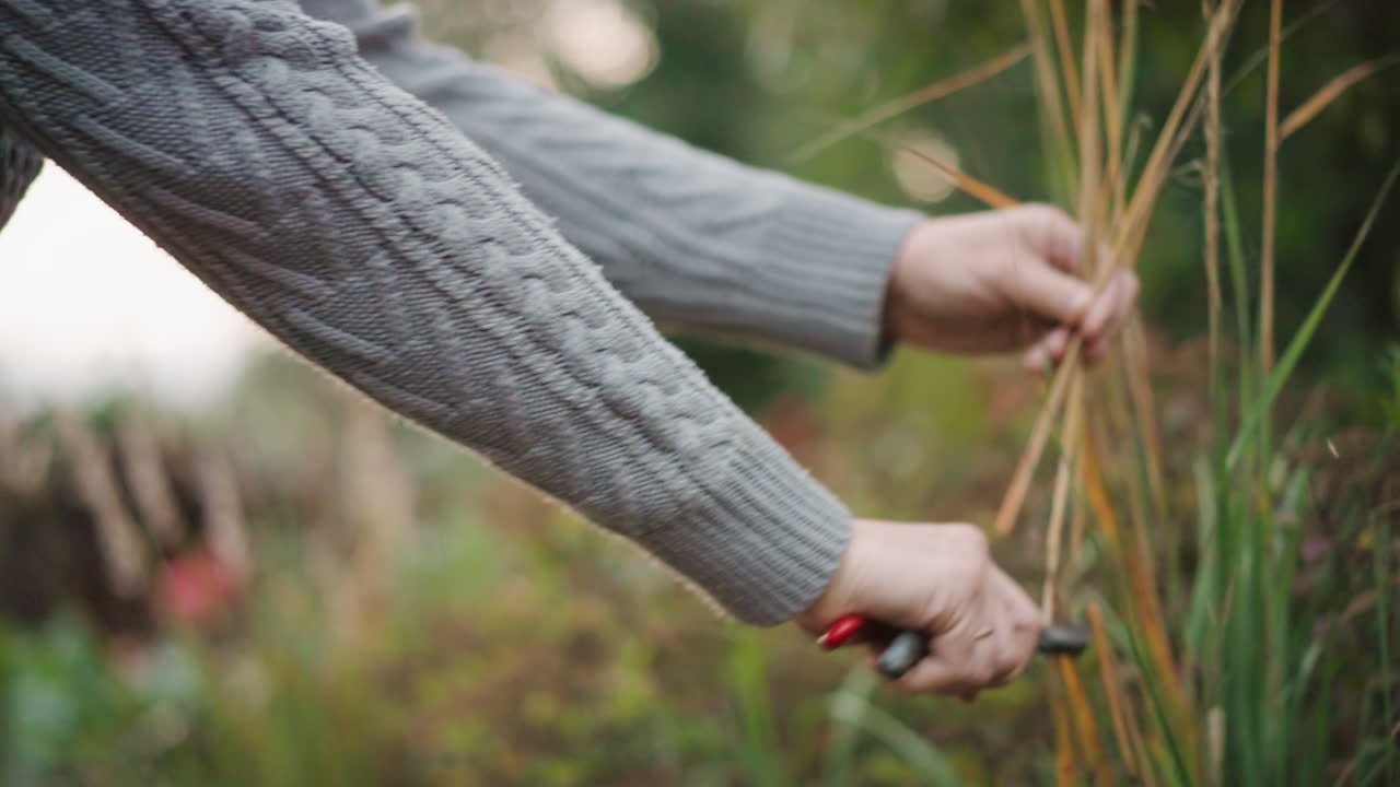 Mani che potano erba ornamentale con le forbici, manica di un maglione grigio, fogliame bokeh sfocato, toni autunnali, taglio e rimozione attenta degli steli, manutenzione stagionale consapevole, steli texturizzati e foglie secche.