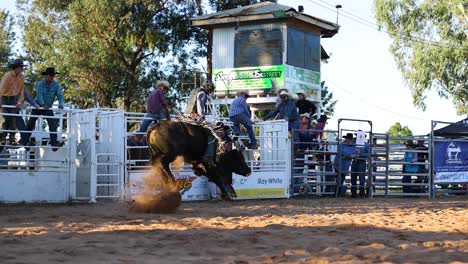 rider attempts to stay on bucking bull