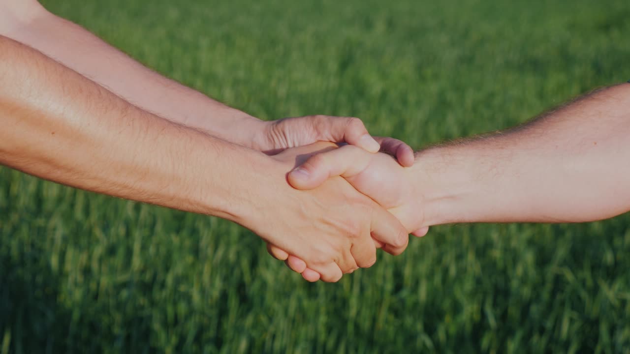 un apretón de manos amistoso de dos manos masculinas. contra el fondo de un campo de trigo verde