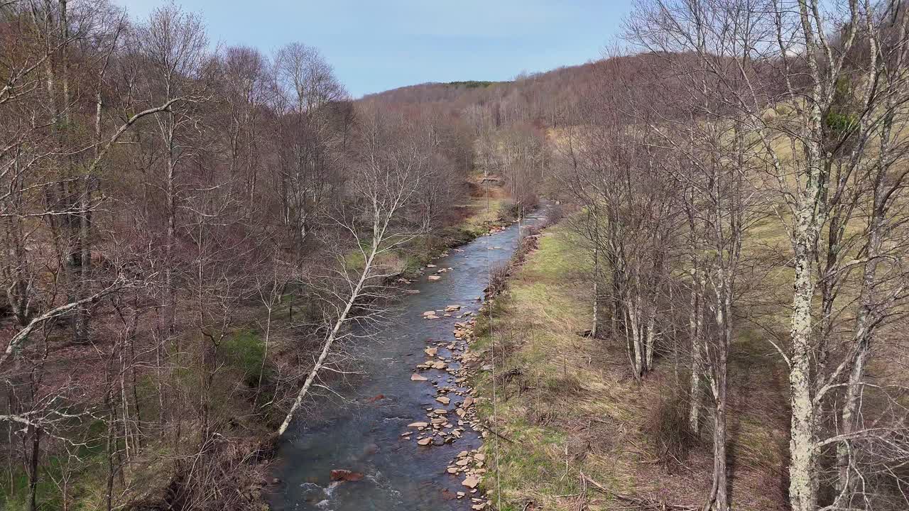 Calm Blackwater River Stream Through West Virginia Valley Surrounded by Bare Trees in Spring