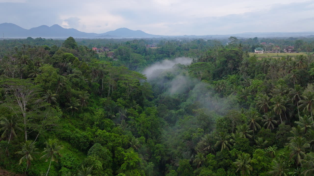 un dron volando sobre la exuberante jungla de ubud, en bali, en indonesia