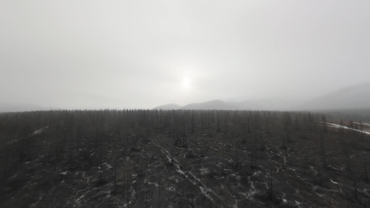 As the first snow blankets the rugged terrain, the once-dry forest emerges into a captivating winter wonderland. Snowflakes gently fall, creating a serene and tranquil atmosphere.