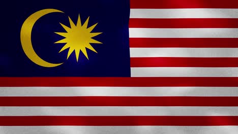 malaysia dense flag fabric wavers, background loop