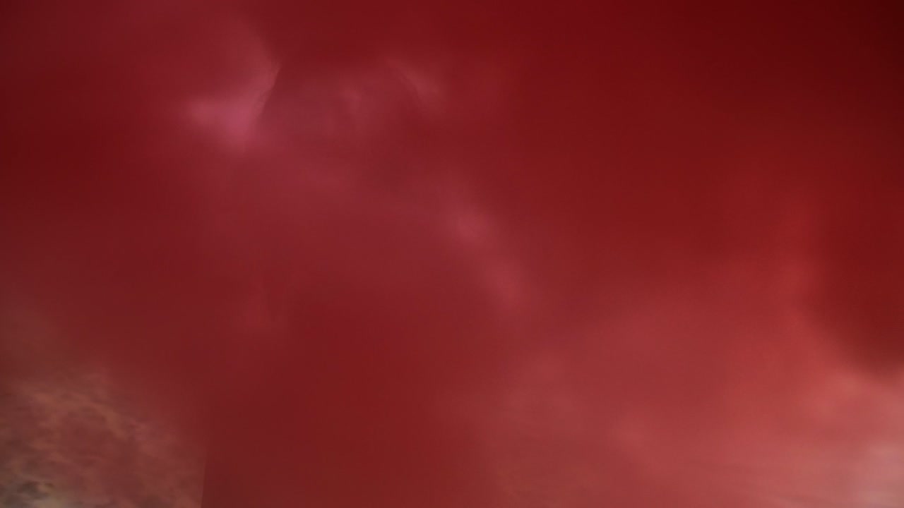 해변에서 연기 폭탄과 함께 재미있는 아름다운 여성 / dabrowa gornicza / 폴란드