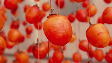 extreme close up vibrant persimmons hung up to dry up, hoshigaki japanese style