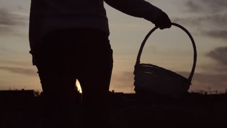 Silhouette-of-woman-carrying-basket-in-countryside-at-sunset