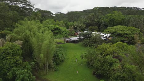 Low-aerial-reveals-diverse,-lush-and-green-tropical-Hawaiian-sanctuary