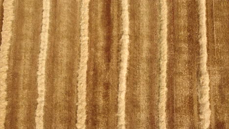 grano cosechado campo de trigo agricultura granja de arriba hacia abajo vista aérea