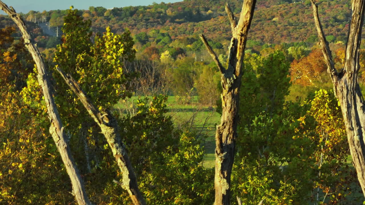bosques y follaje de otoño en el parque combs en una mañana soleada en fayetteville, arkansas, estados unidos