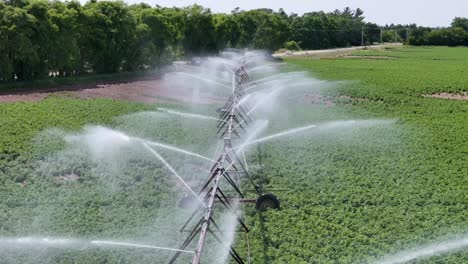 a farm field in central wisconsin is irrigated with a sprinkler system