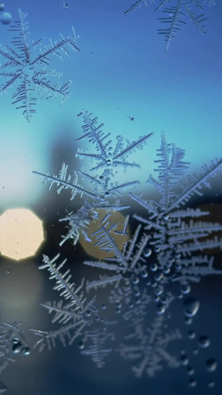 Video verticale: Formazione di brina che cresce sul vetro al crepuscolo, innescata dall'aria gelida, mostrando goccioline.