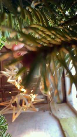 primer plano de las ramas de un árbol de navidad