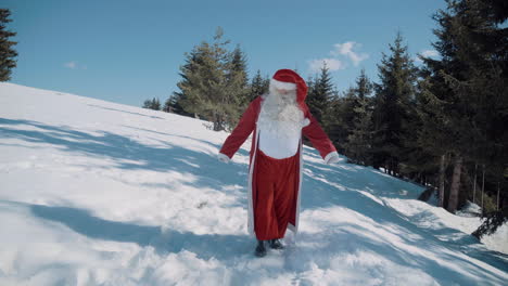 santa walks to the camera through a snowy field