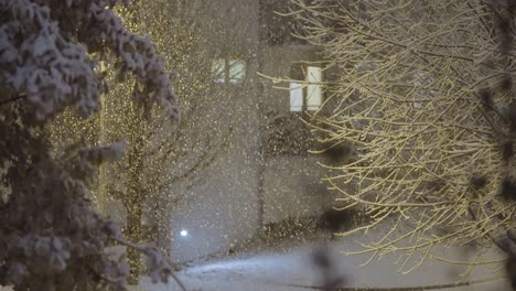 Soft-snowflakes-gently-fall-on-snow-covered-trees-and-ground