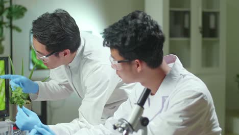 medical team researchers analyzing botany expertise on computer discovering genetic mutation. pharmaceuticals scientist working in biochemistry laboratory at biological agriculture experiment
