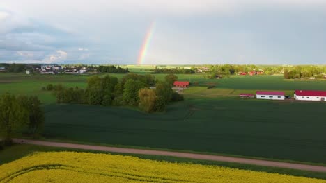 the rainbow over the rape field with blooming canola, during spring, aerial view under heavy clouds before thunderstorm