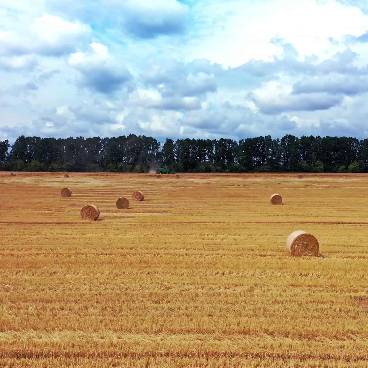 Flying back over the hayfield with pressed bales. Round dried bales laying on the yellow field in summer daytime. Motion camera back.