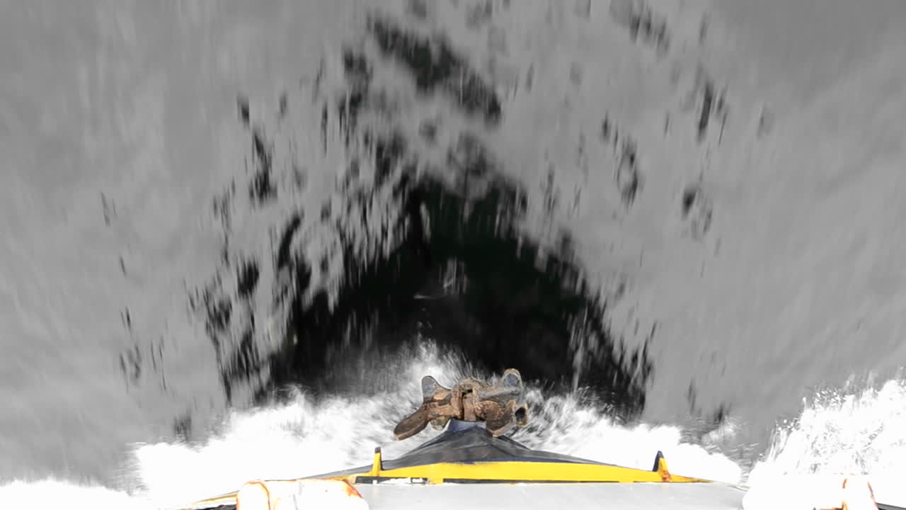 스티븐 패시지 사우스이스트 알래스카에서 보우 웨이크를 타는 돌돌고래