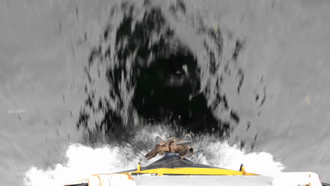 dall porpoise riding the bow wake in stephens passage southeast alaska