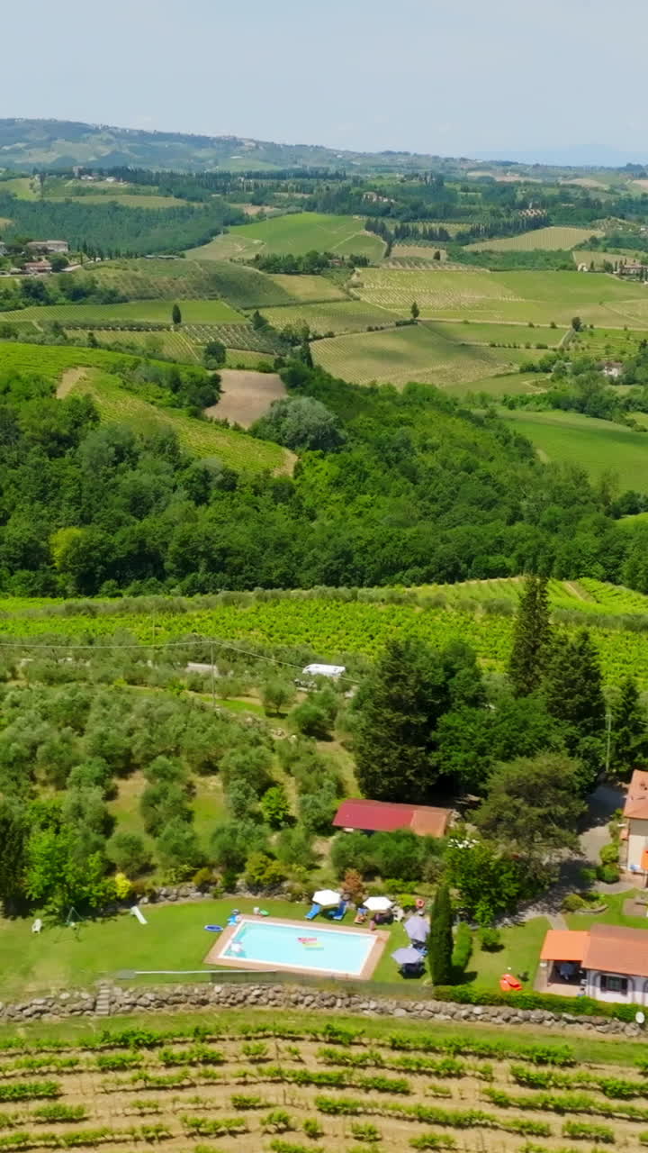 Picturesque Vineyard Landscape