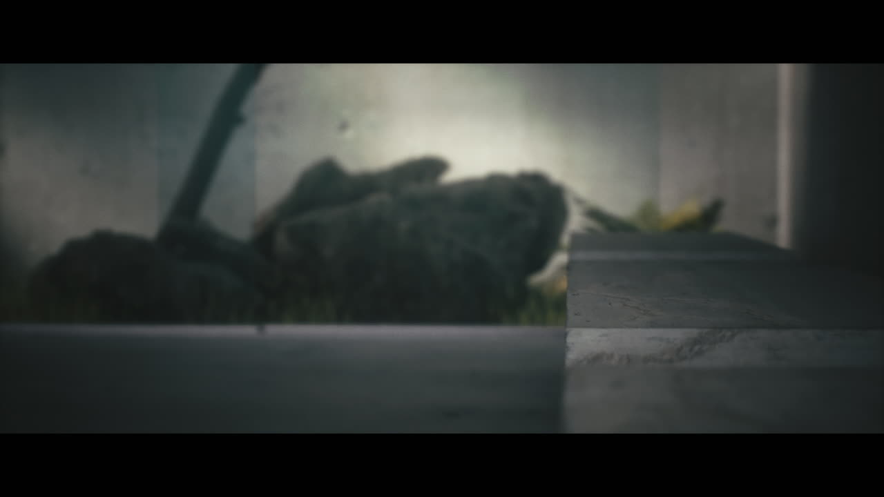 Modern Interior Steps with Blurred Background