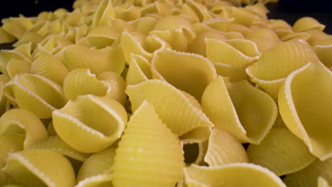 a pile of dried conchiglie pasta shells