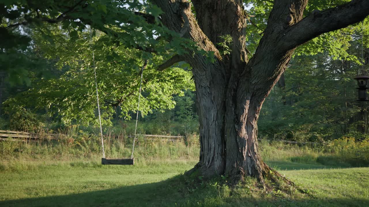 석양에 나무에 매달린 그네