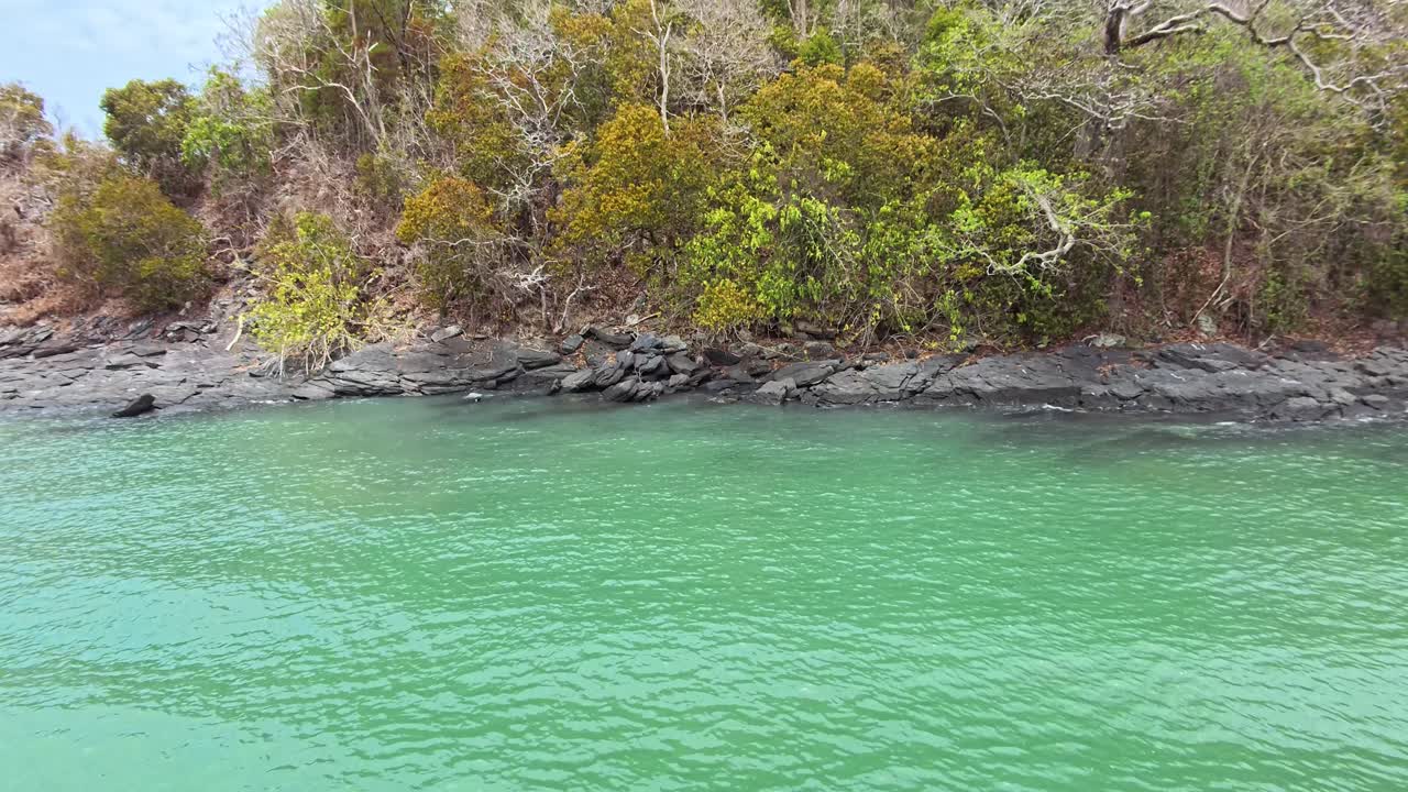 Paisagem costeira com mar e árvores