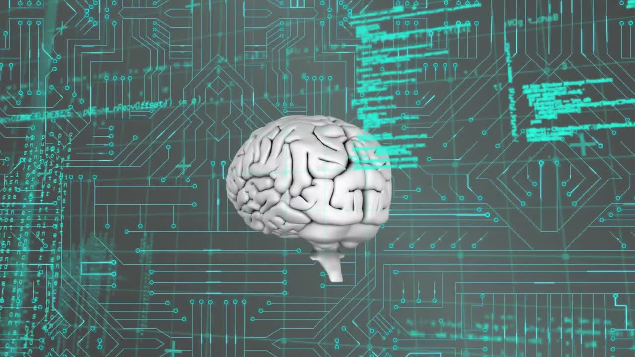 Brain and program codes with digital circuit