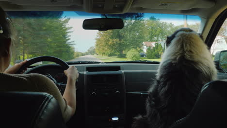 A-Woman-Travels-By-Car-With-Her-Beloved-Dog-Who-Sits-Nearby