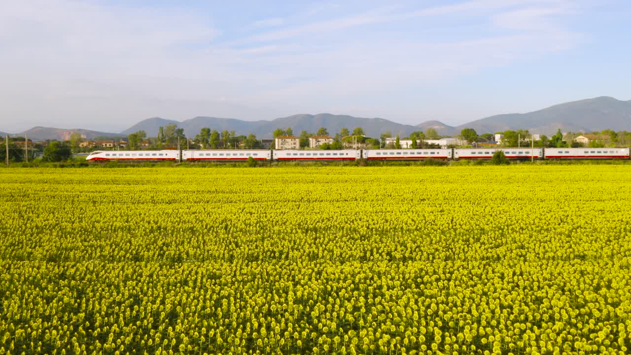열차가 해바라기 근처를 지나갑니다.