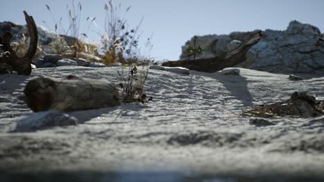 white sand beach near rocky cliffs at ocean