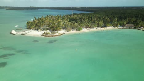 punto de paloma vista aérea ascendente en cámara lenta conocida por su belleza excepcional en la isla de tobago