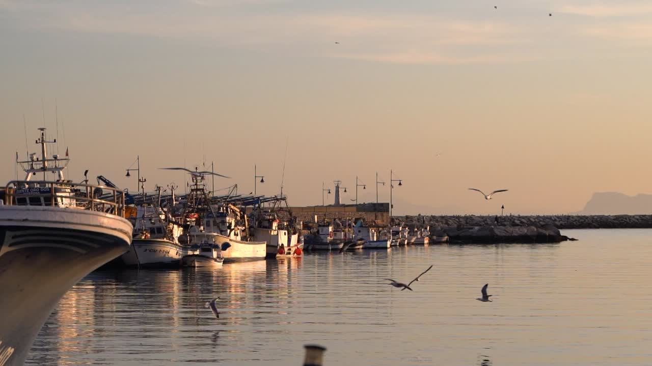 schöne landschaft bei sonnenuntergang mit fischerbooten im hafen und fliegenden möwen
