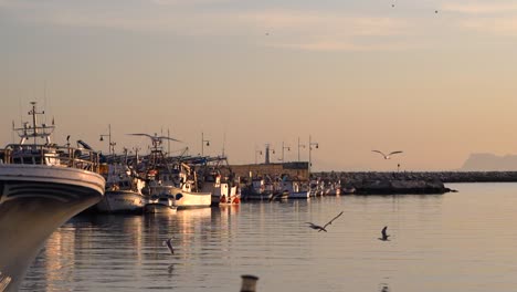 Schöne-Landschaft-Bei-Sonnenuntergang-Mit-Fischerbooten-Im-Hafen-Und-Fliegenden-Möwen